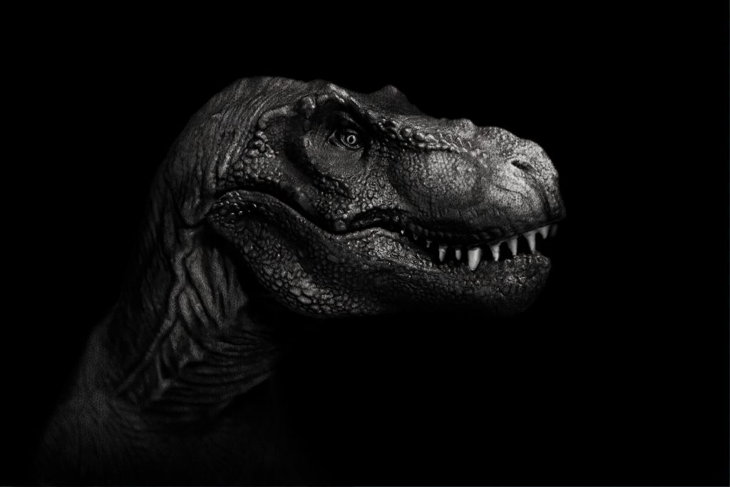 Närbild av en Tyrannosaurus Rex