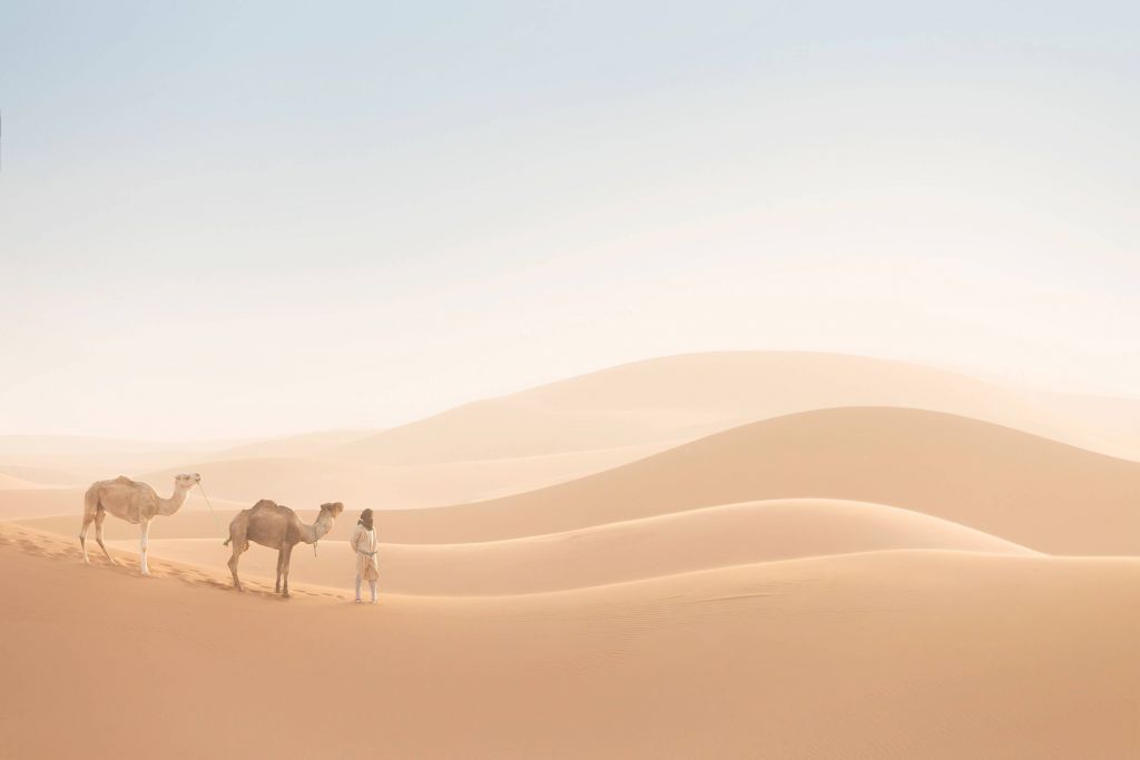 Nomad med sina kameler
