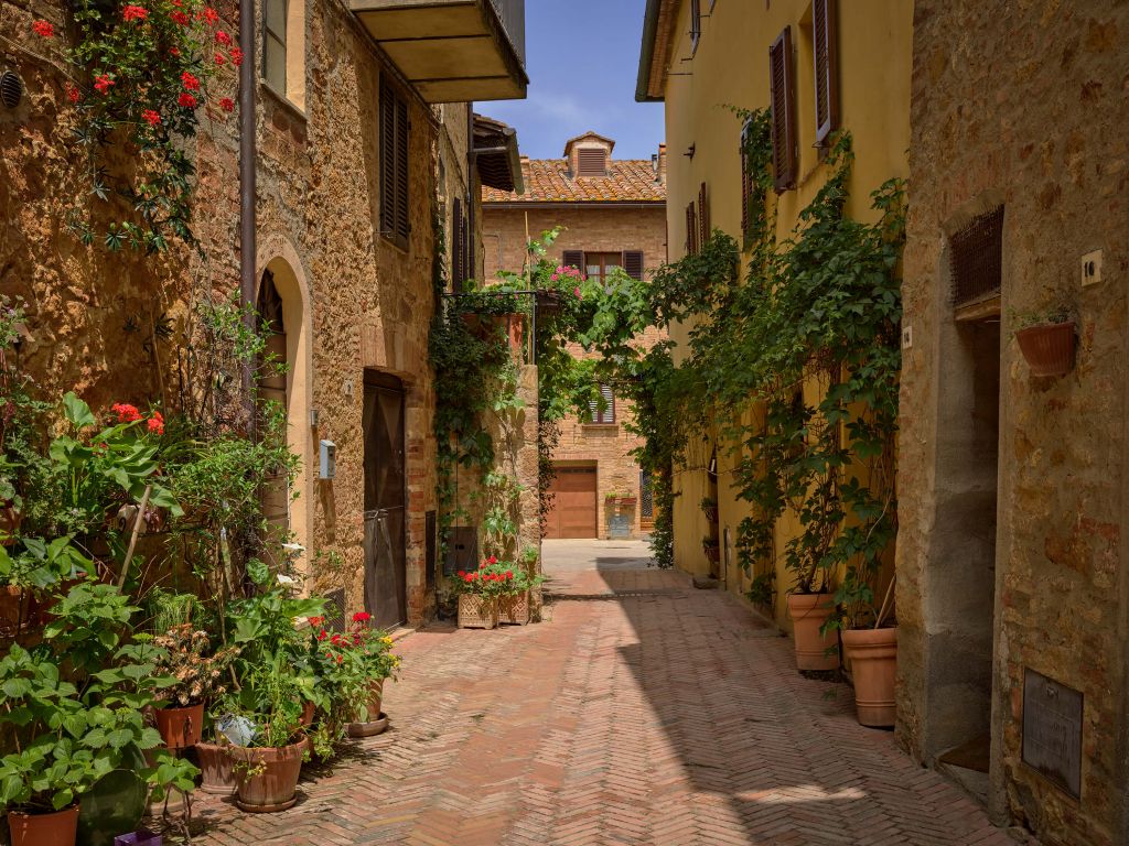 Italiensk gata med växter