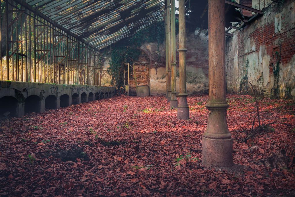 Övergivet hus med löv