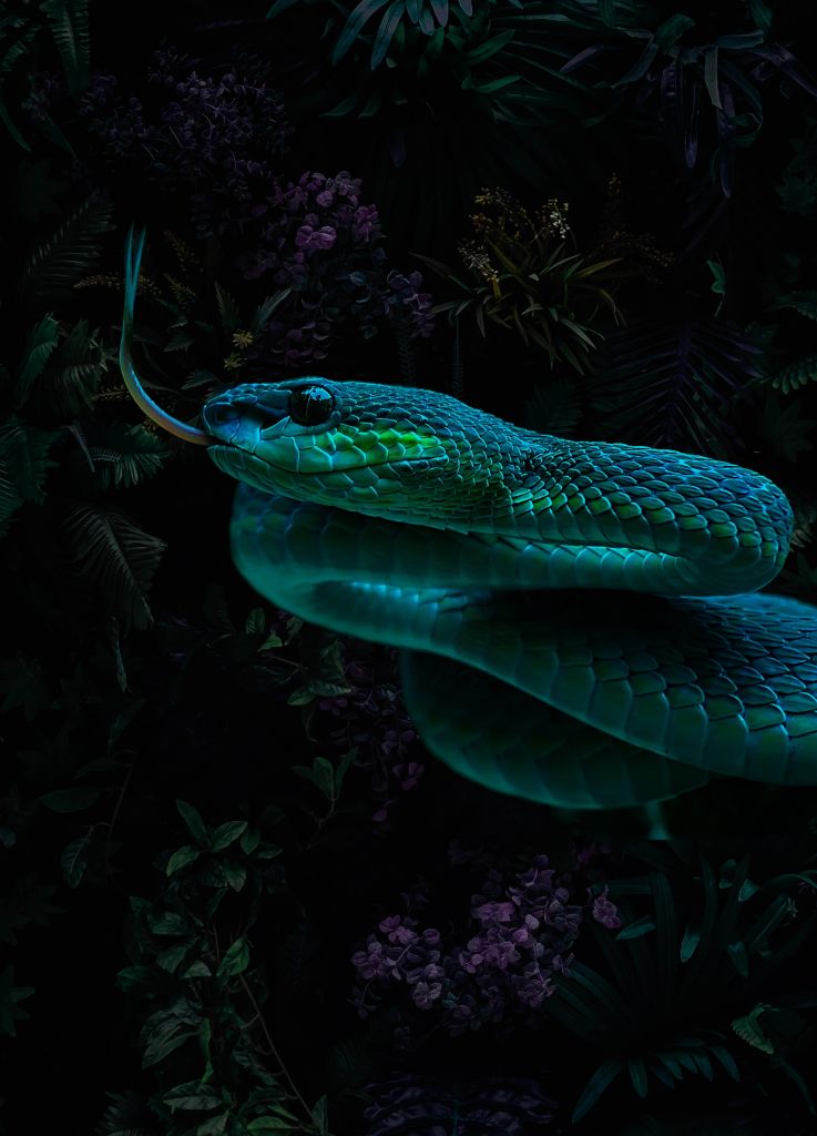 Jungle Snake Porträtt