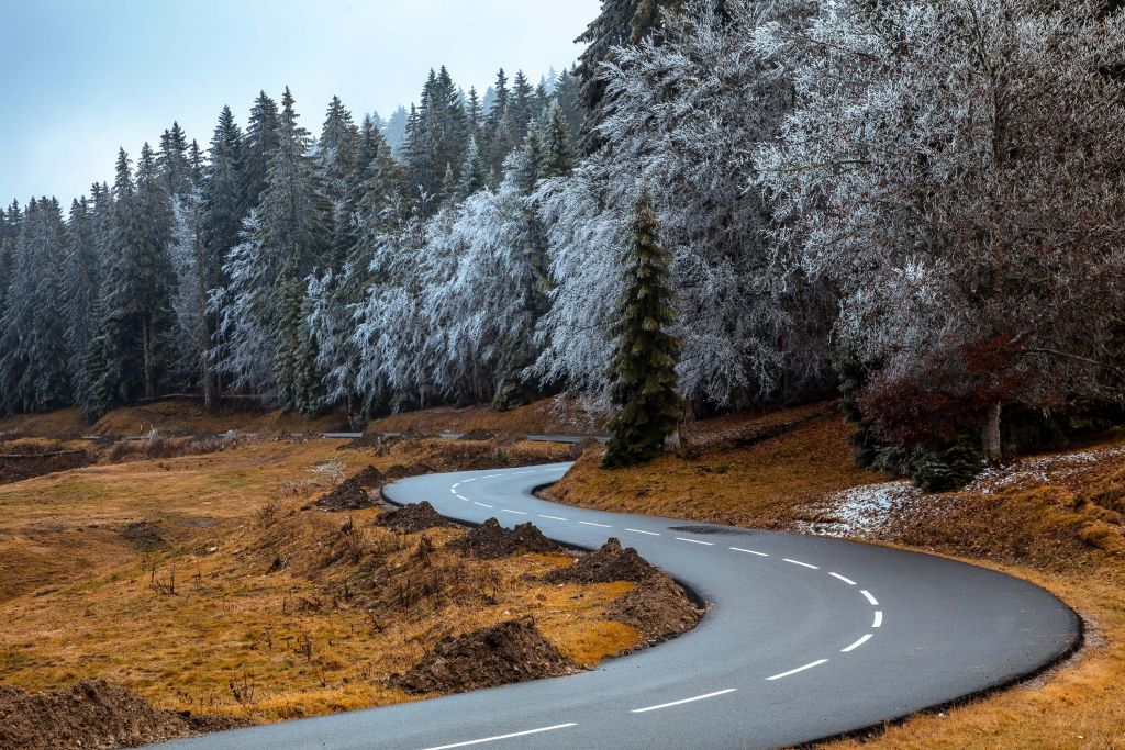 The road and the frozen trees