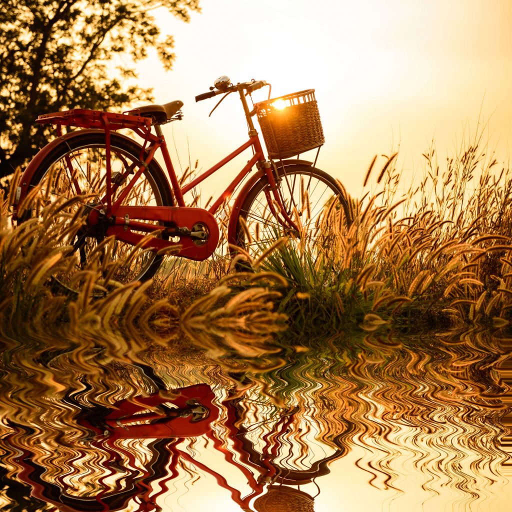 Cykel i solnedgången