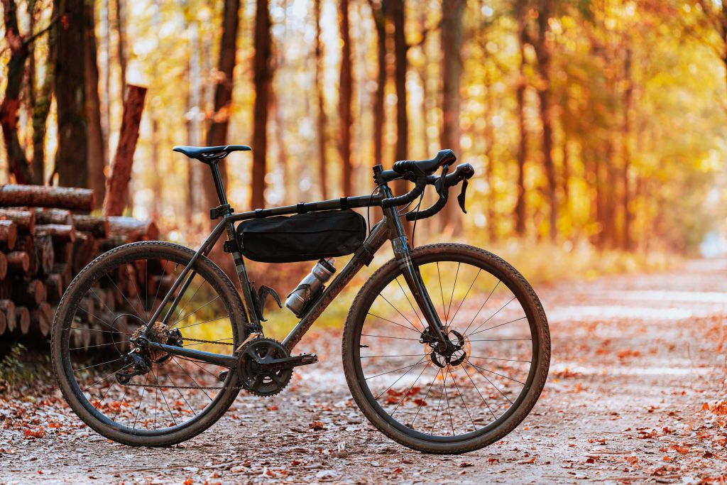Cykel på hösten