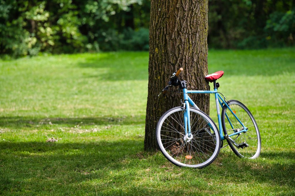 Cykel i parken