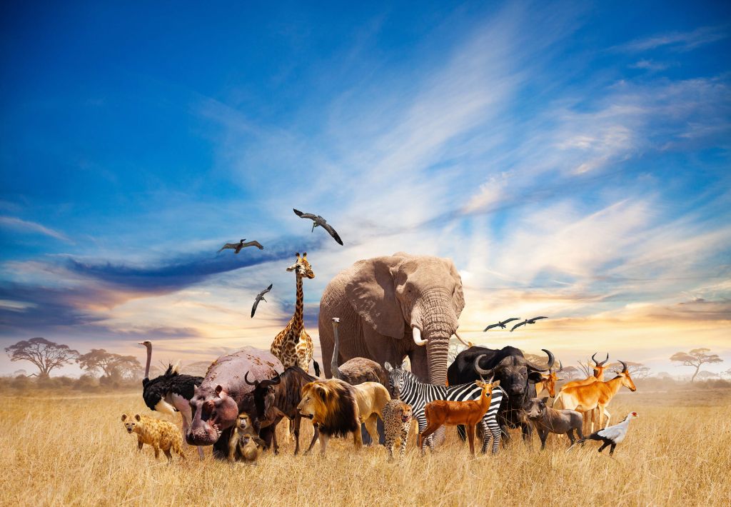 Grupp av afrikanska djur