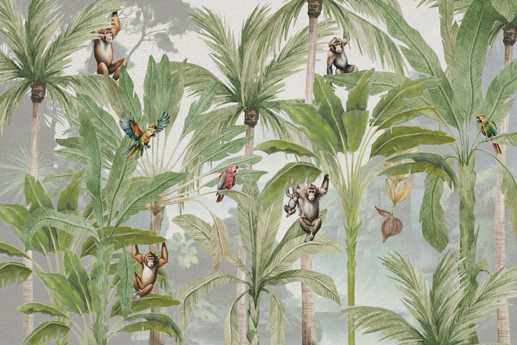 Jungle med aber og papegøjer i farve