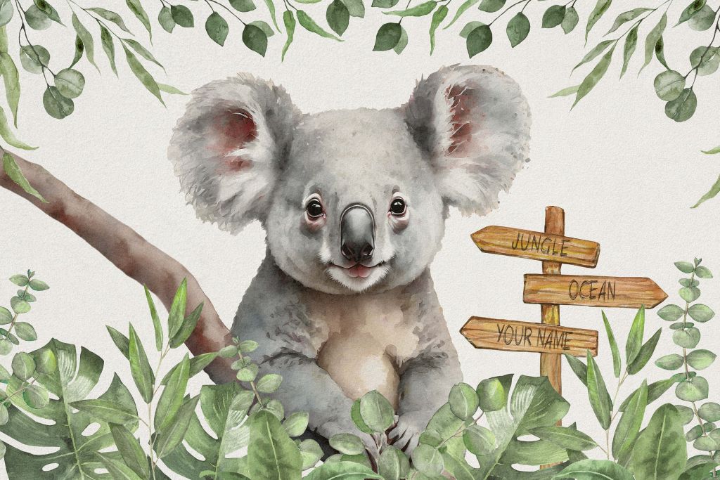 Baby koala i junglen