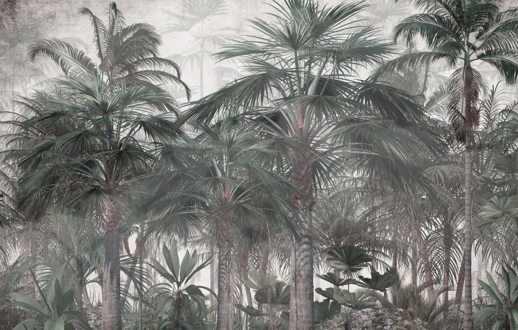 Skymnings Palm Serenitet