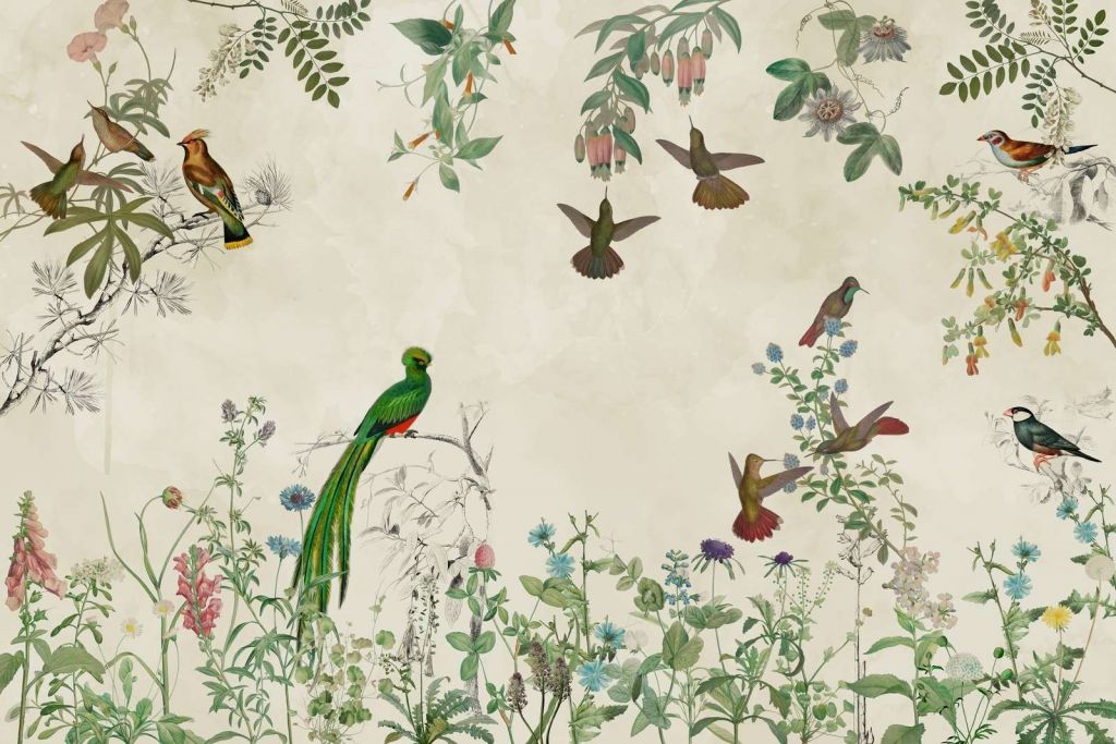 Farverige Fugles Marker