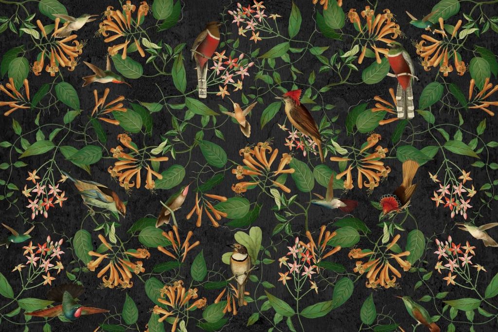 Midnatts hage melodi