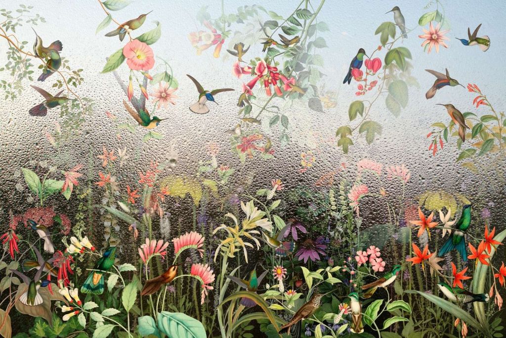 Regnfull Fugleparadis