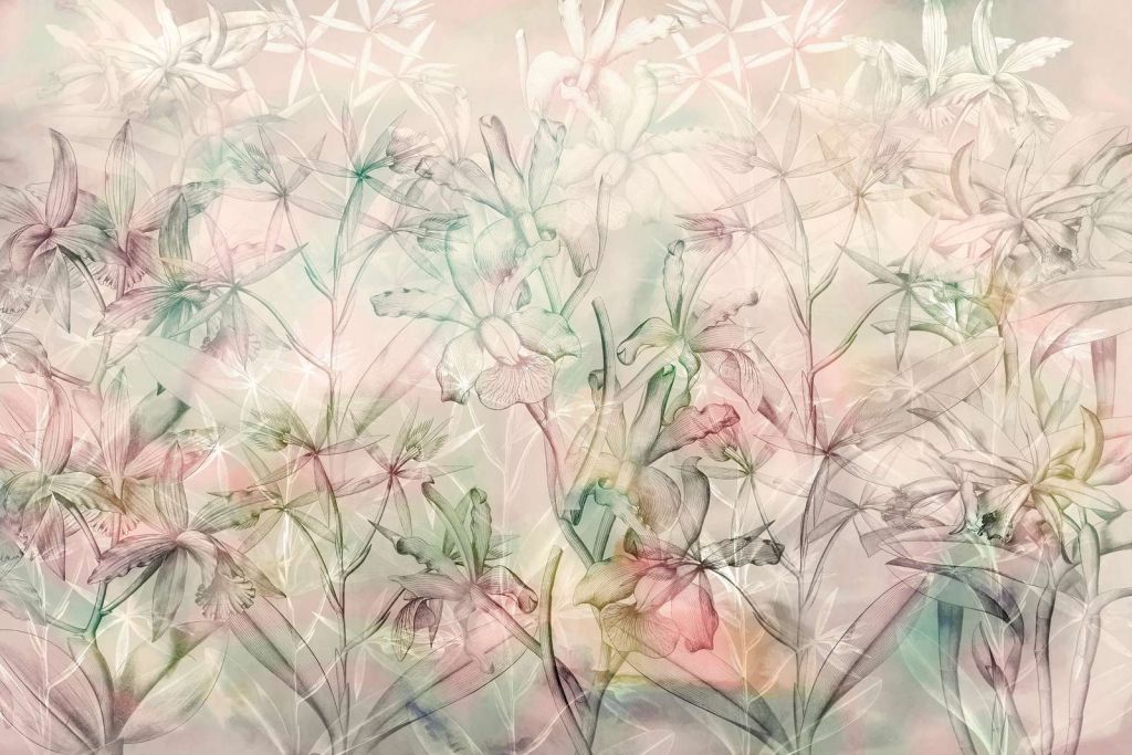 Orkidé Mirage i myke pasteller