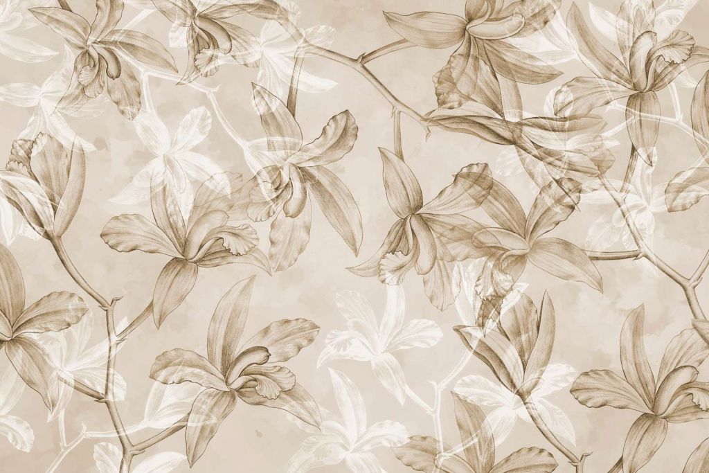 Orkidé Drømmen Sepia