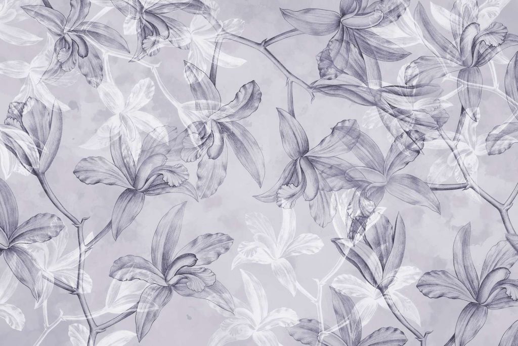 Orkidé Drømmelandskap Lilla