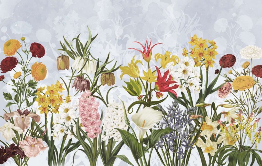 Vårblomster - Skyet himmelblå