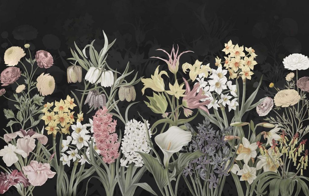 Vårblomster - Midnatt Blomstring