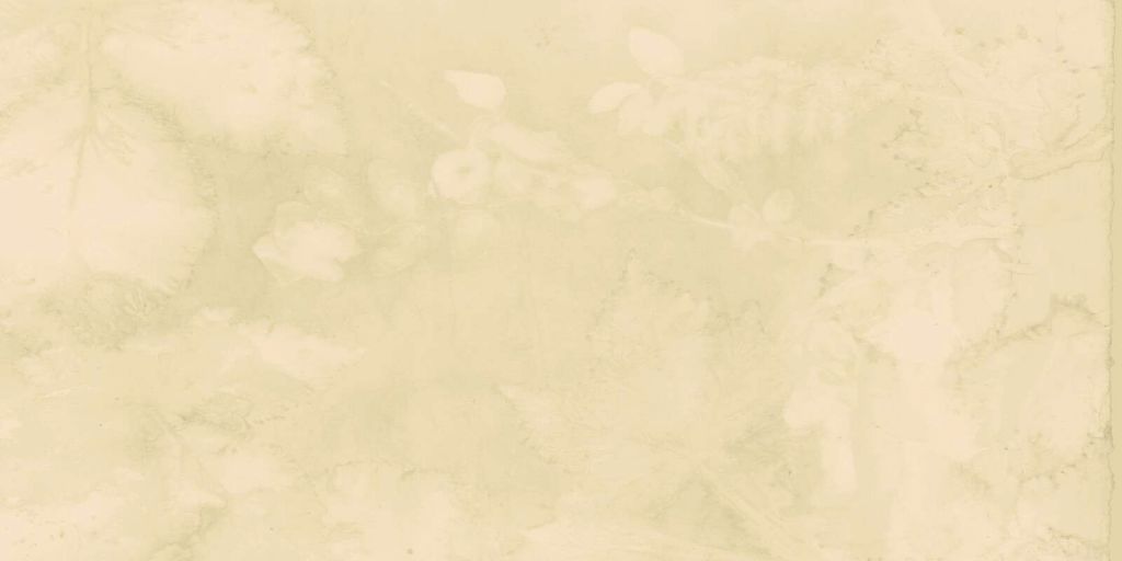 Sneeuwbes og vill bjørnebær - jade