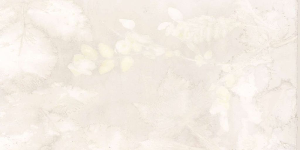 Sneebær og vildt brombær - skyggeleg