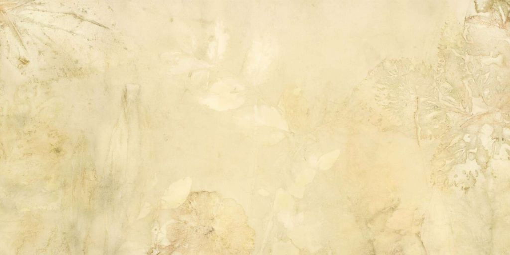 Weegbree og vill geranium - motlys