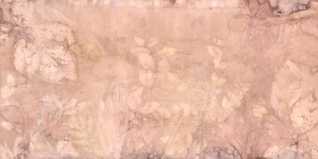 Wilde brombær og vejbred - drømmeverden i rosa