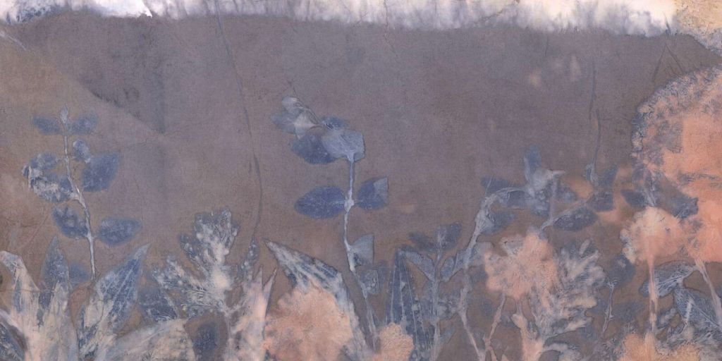 Wilde geranium og snøbær - blå