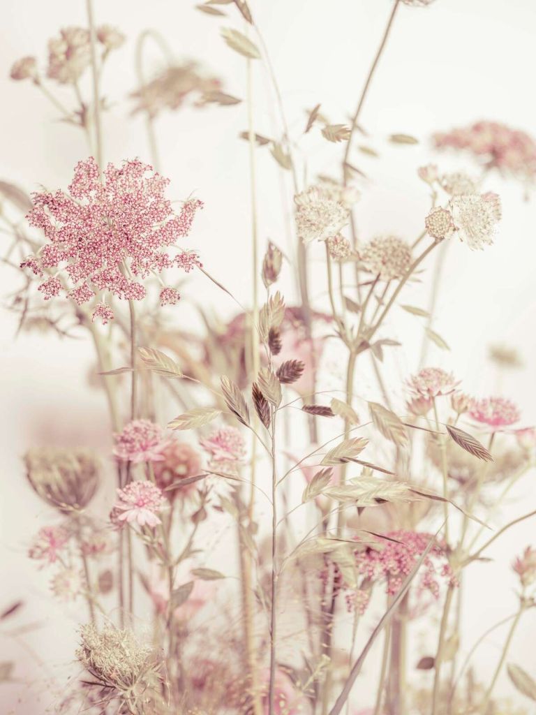 Engblomster