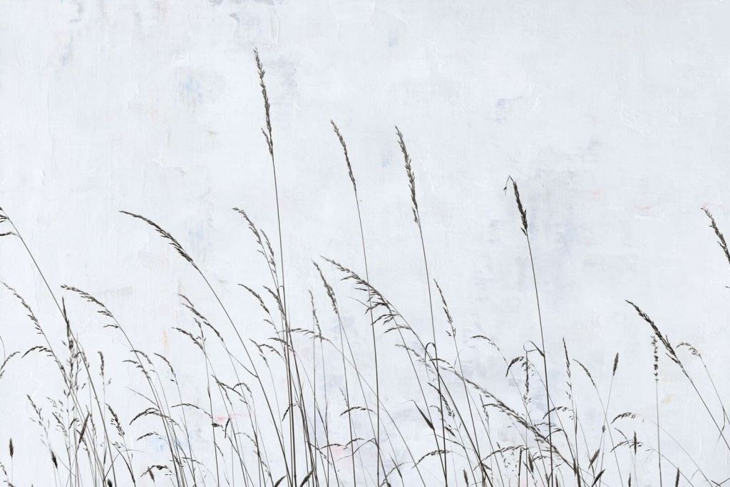 Blødt svaierende markgræs i hvidt lys