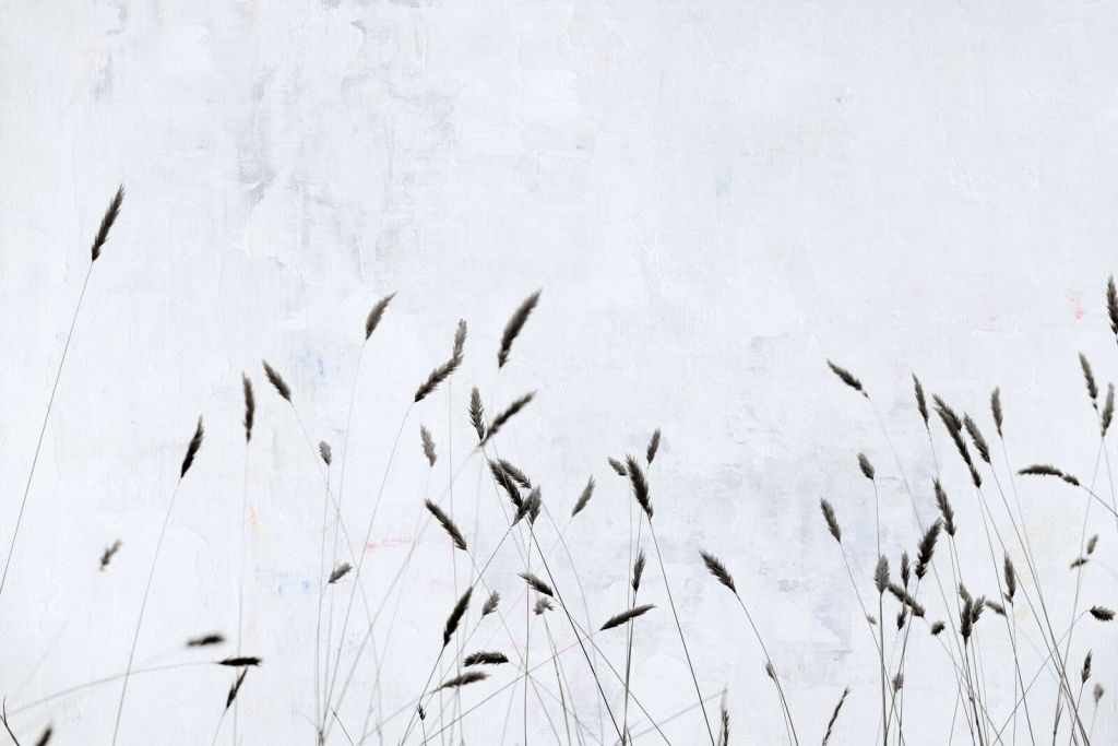 Minimalistisk markgræs i stilhed