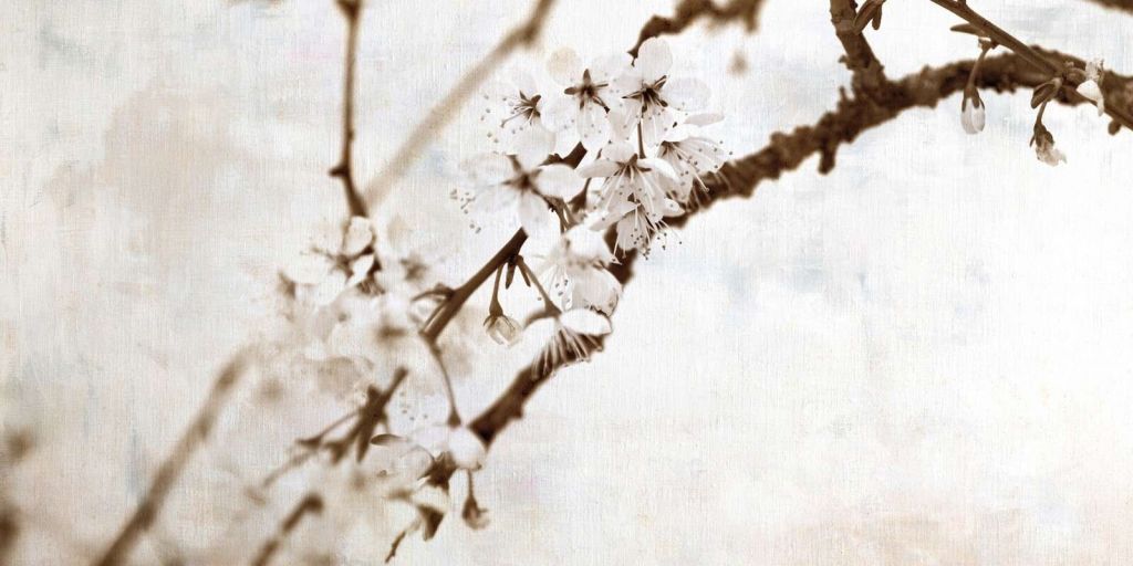 Blomstrende gren i blid stilhed