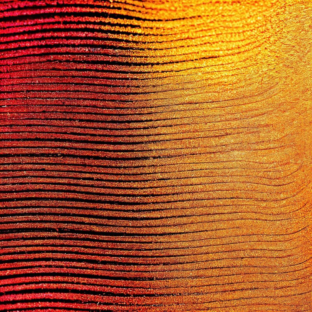 Macro Cobra safranblomst