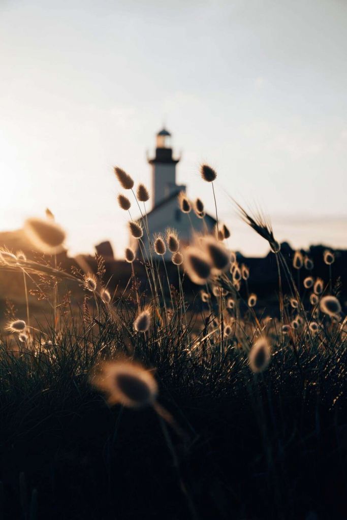 Fyrtårn i sommeraftenens glød