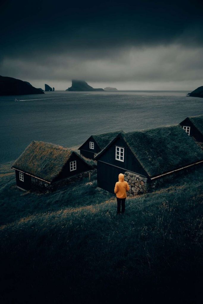 Grästak vid en nordlig fjord