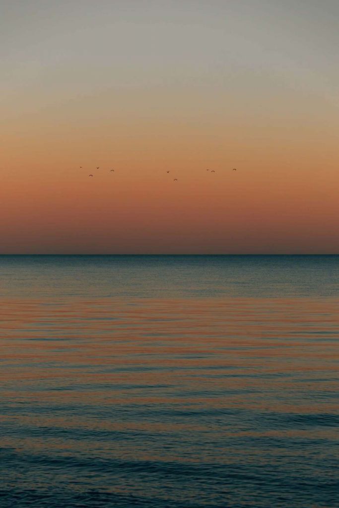 Still hav i solnedgången