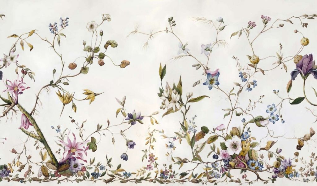 Luftige markblomster med ranker