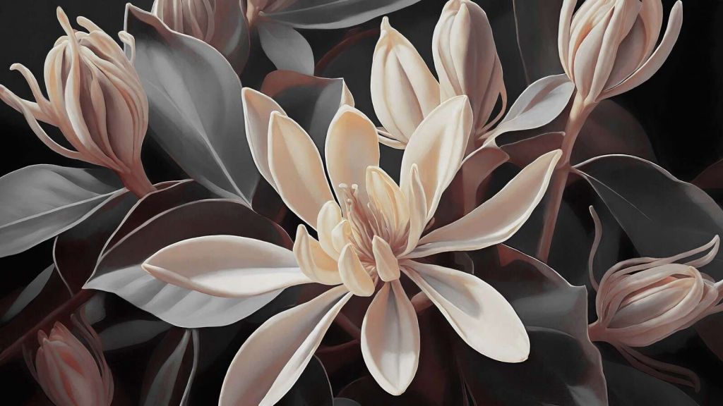 Cremefarvede magnoliablomster på mørk