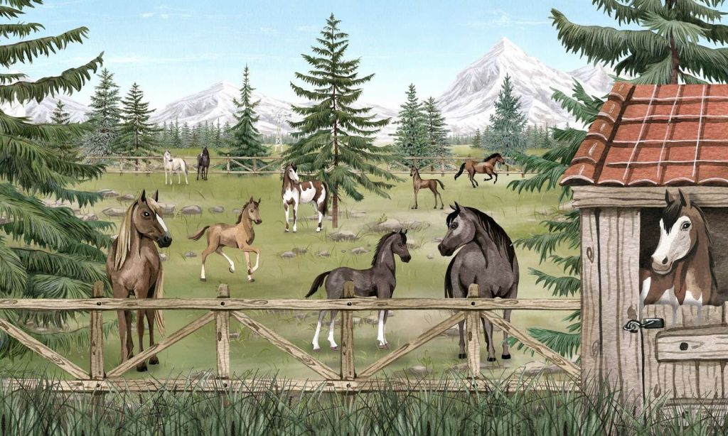 Horse Haven