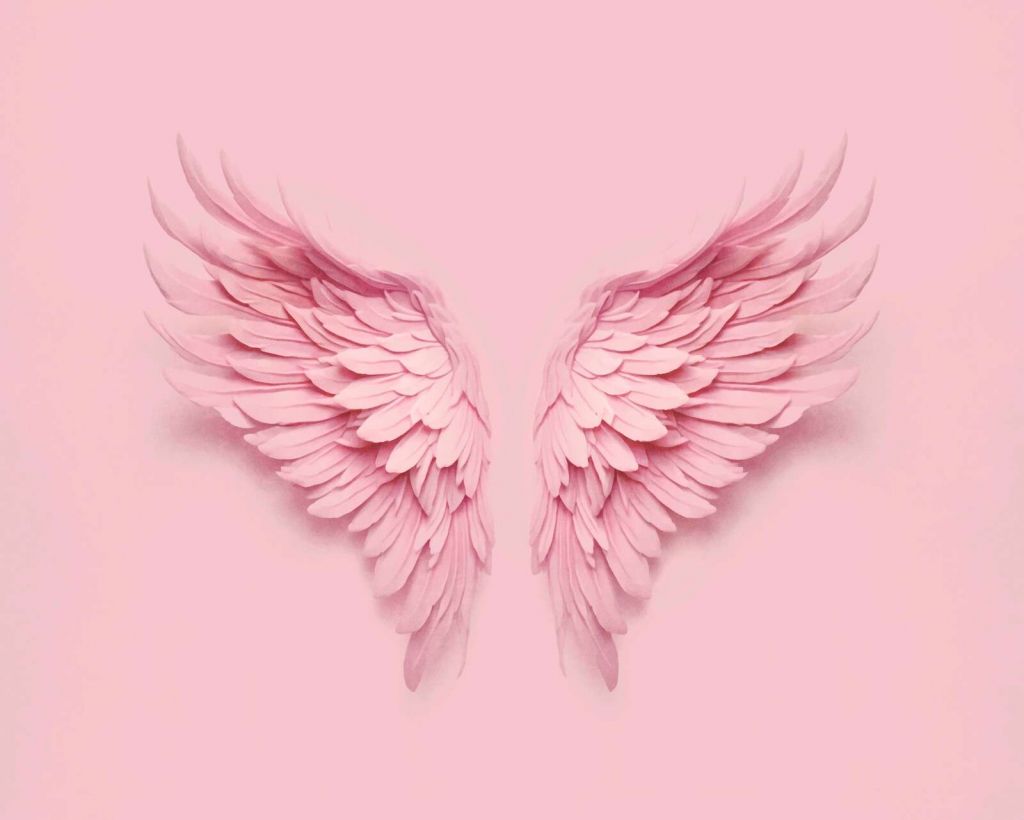 Pink angel wings backdrop