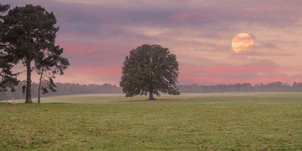 Måne over stille naturlandskab
