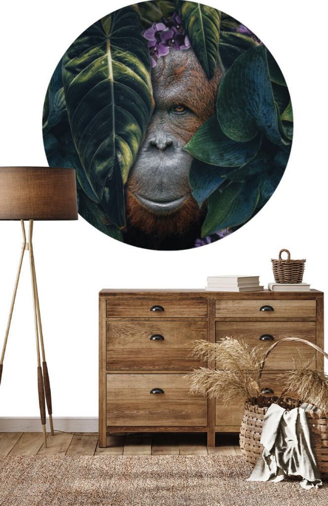 Tapetcirkel Orangutang i djungeln