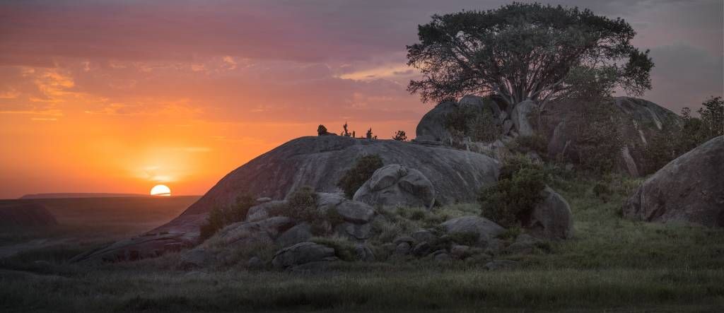 Solnedgång över savannen