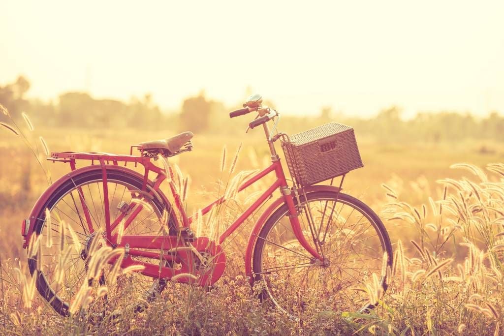 Landskap Vintage cykel