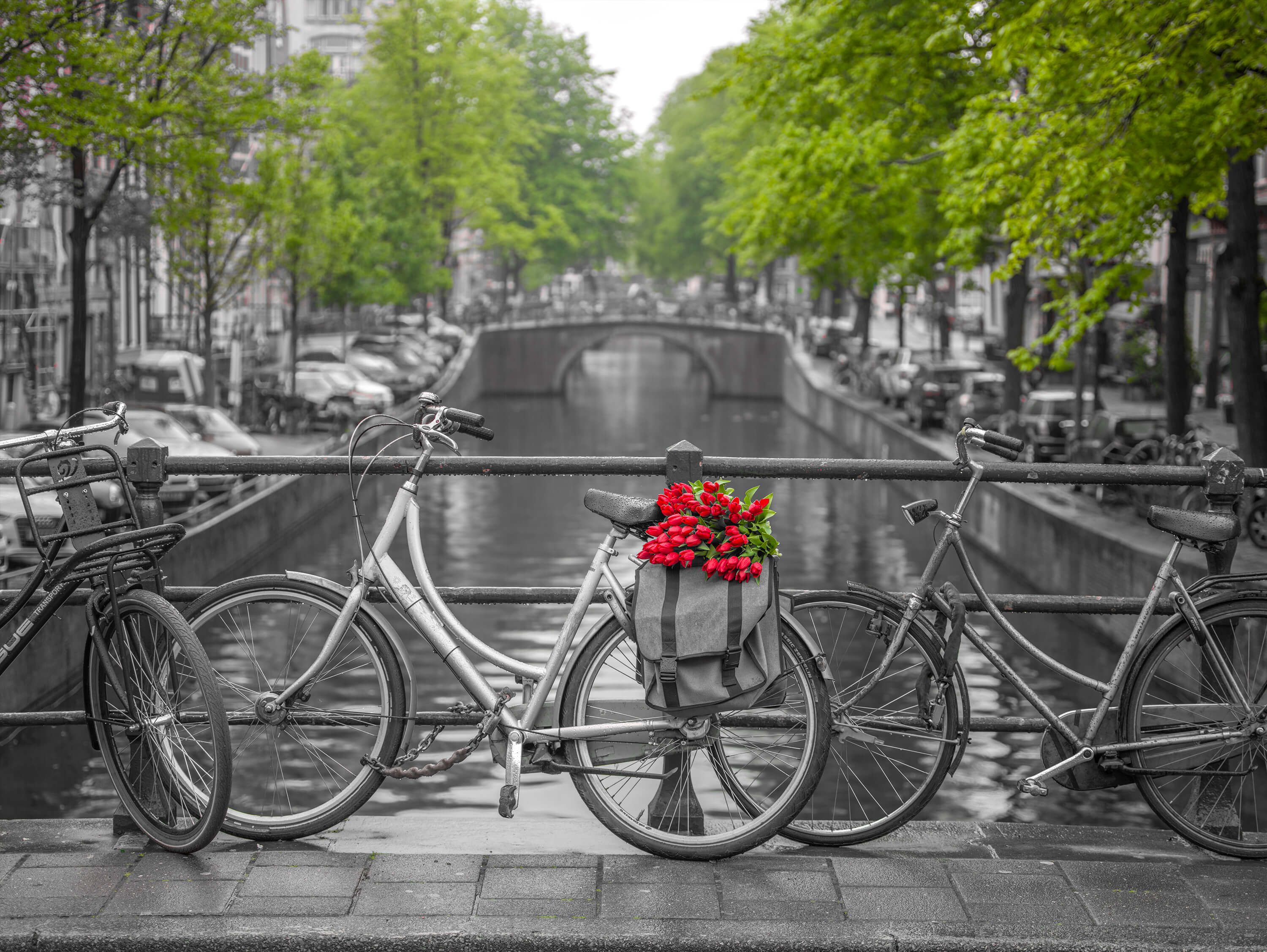 Cykel med blommor