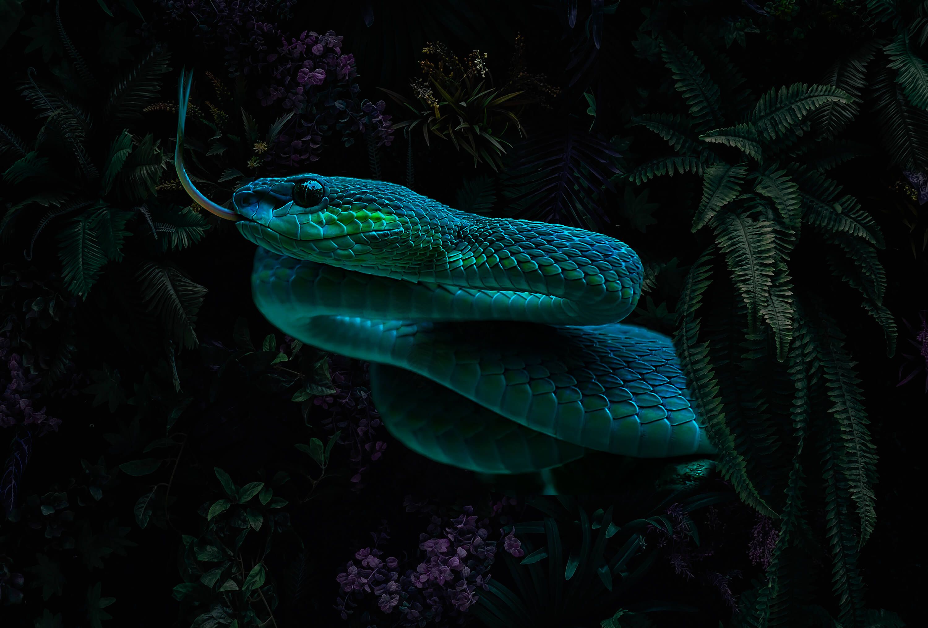 wallpaper Jungle Snake