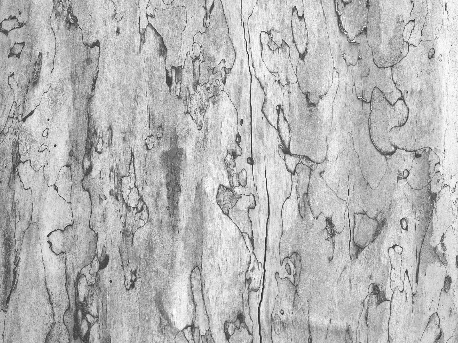 Bark