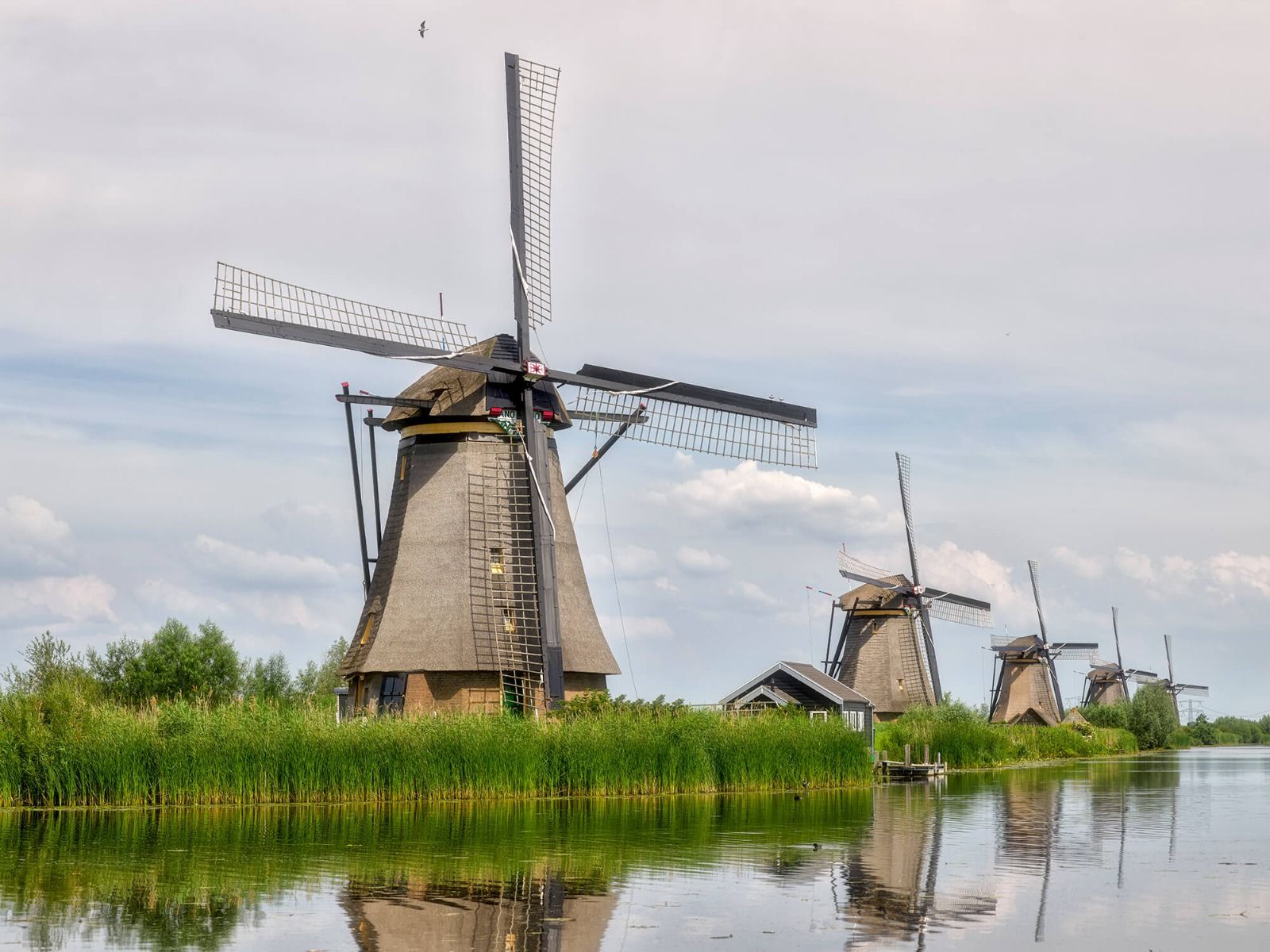 Mills Kinderdijk