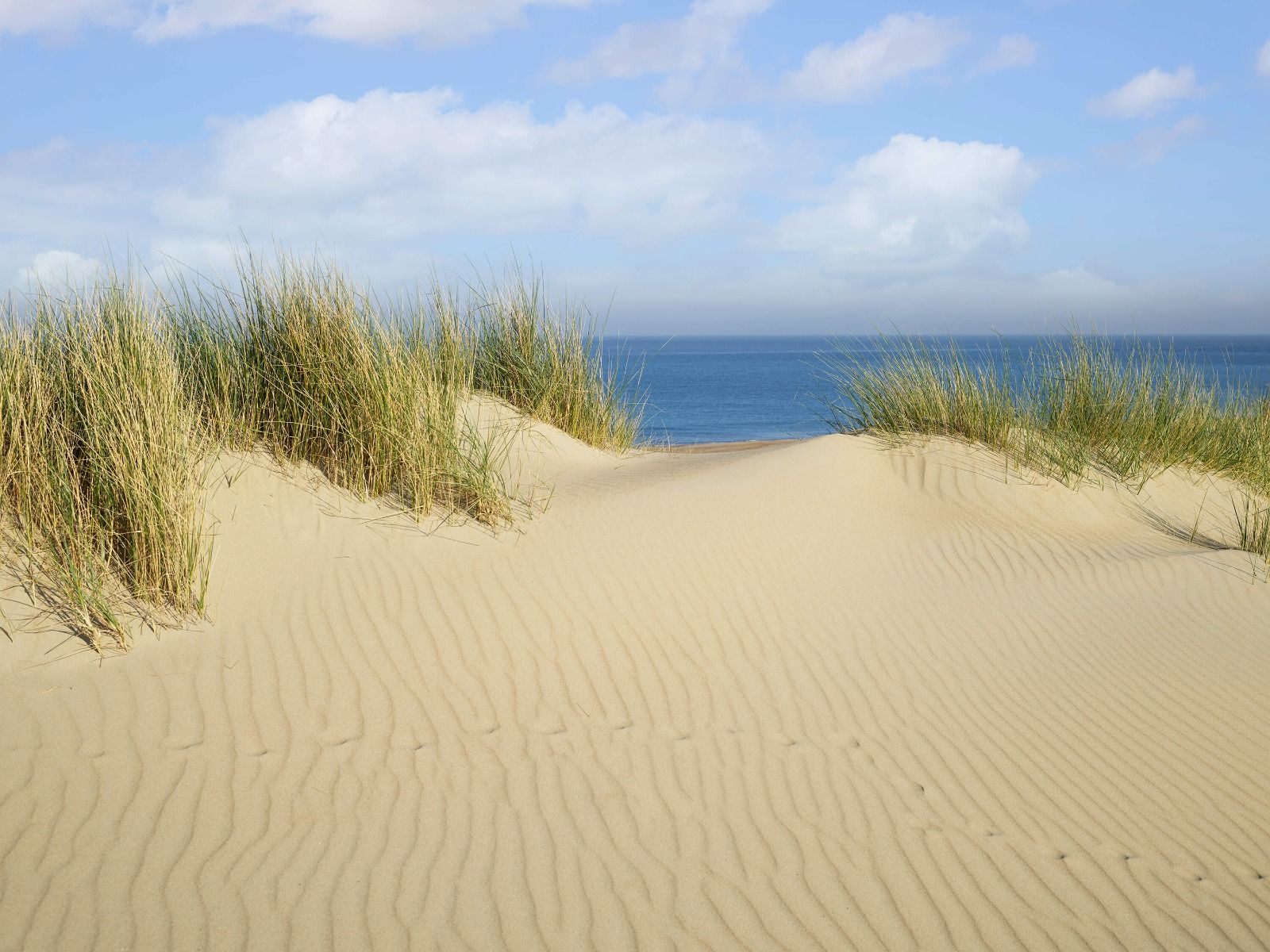 Dune går til stranden