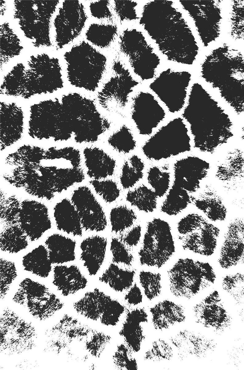 Leopard illustrasjon