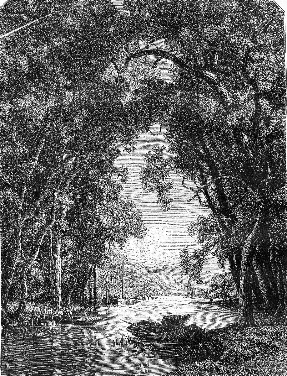 Gammel elv i jungelen