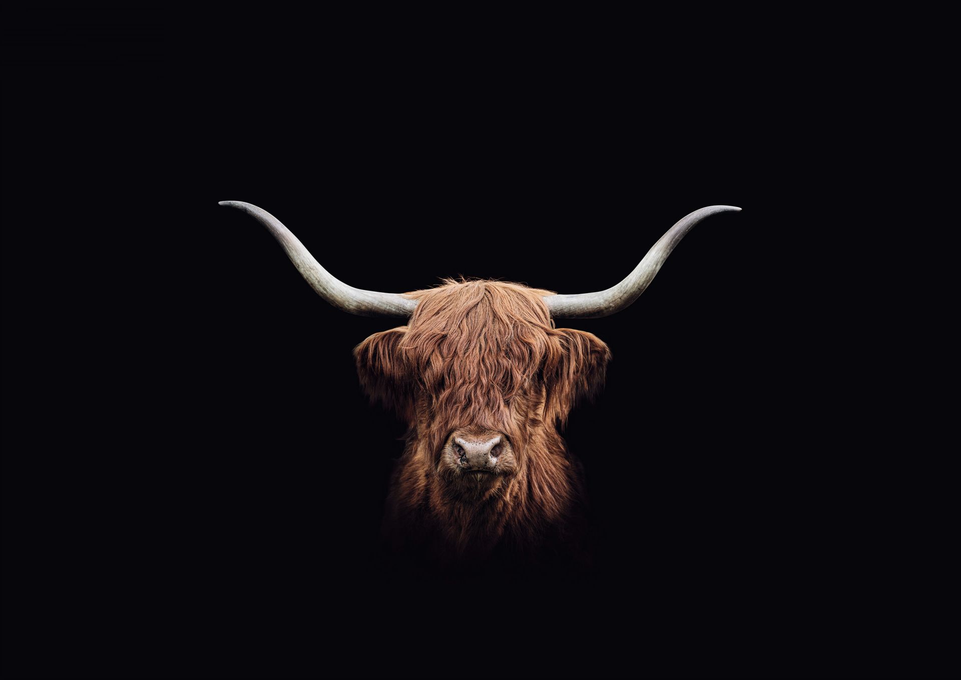 Vintage Scottish Highlands